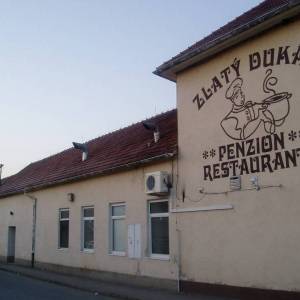 Penzin Zlat Dukt,Zvolensk Slatina